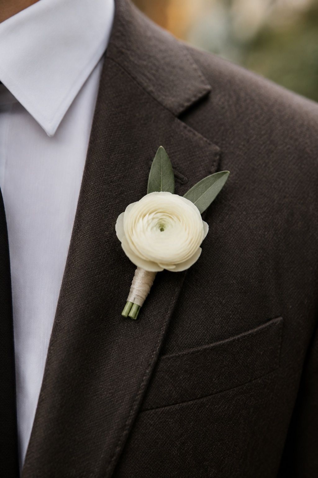 Cream ranunculus boutonniere with olive leaves on a brown lapel