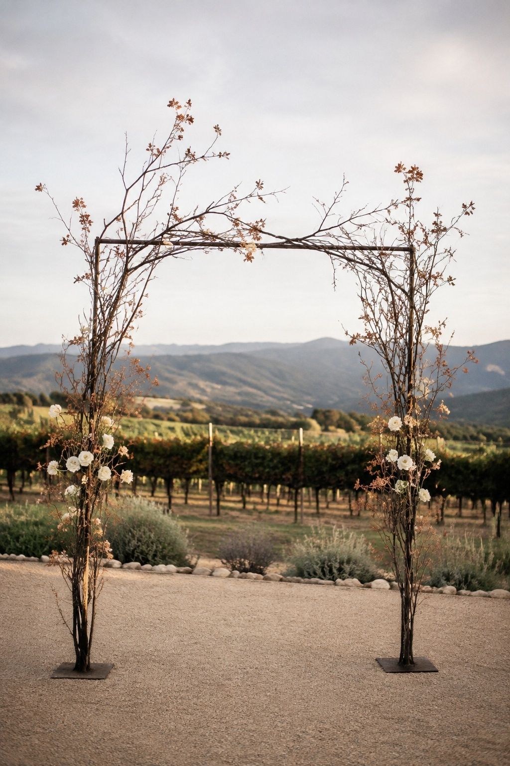 Bare branch arch framing the venue view