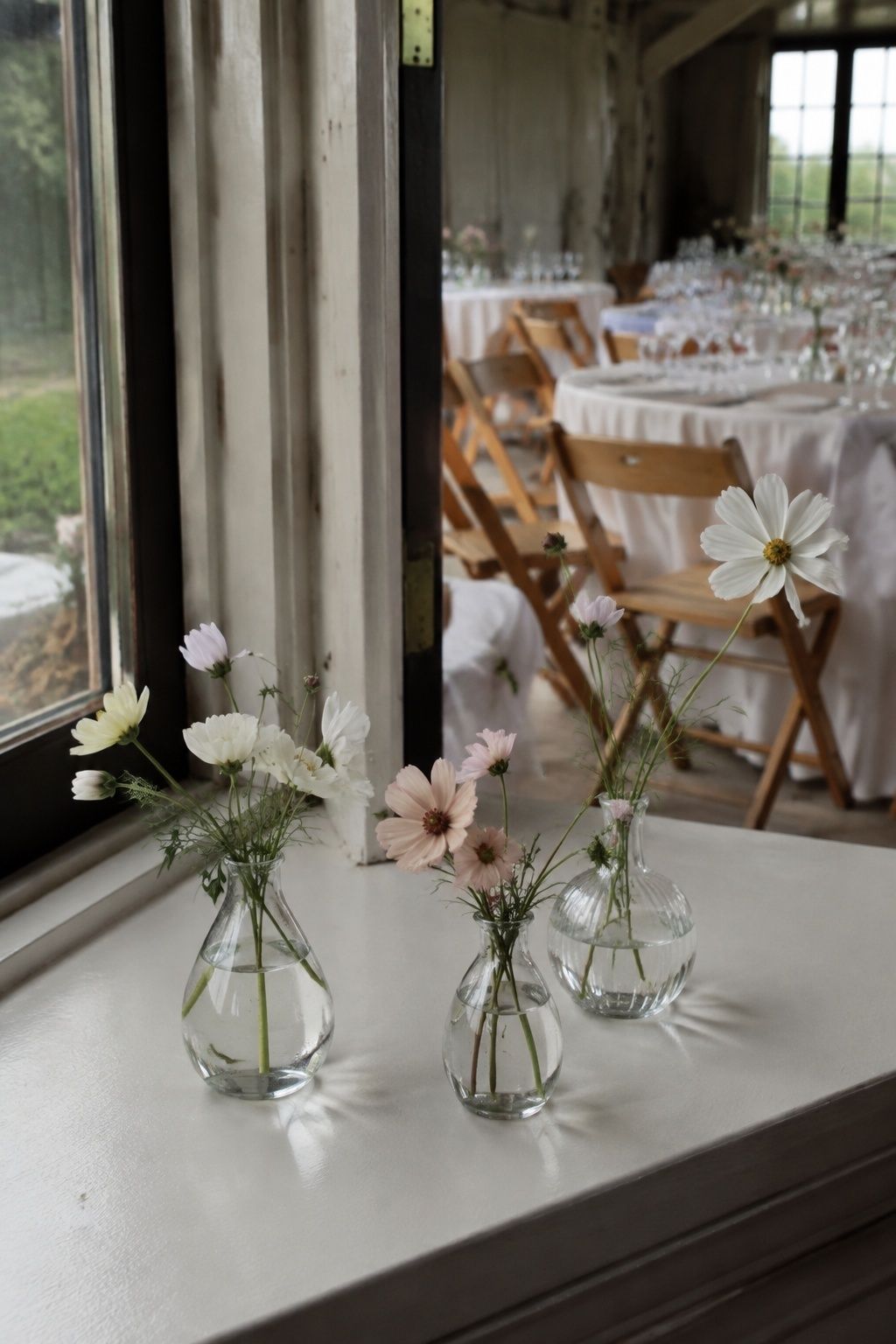 Airy white and blush cosmos in clear bud vases