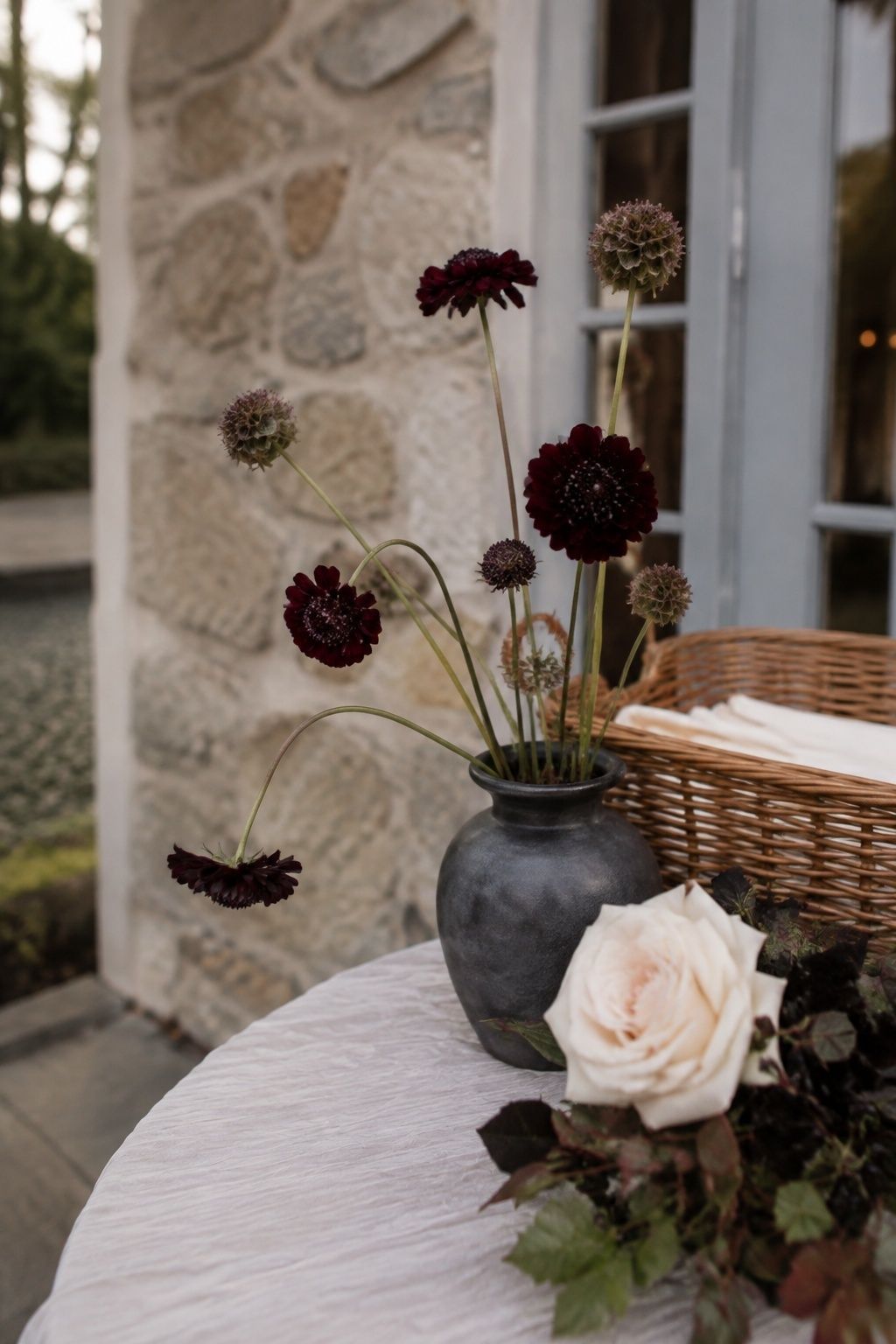 Wine scabiosa flowers and seed pods in a small vase