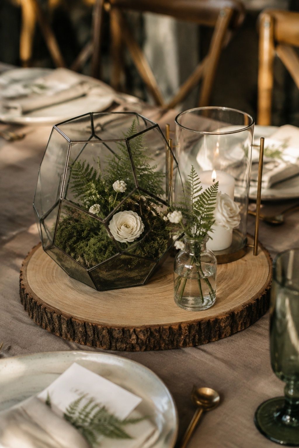 Terrariums set on wood slices