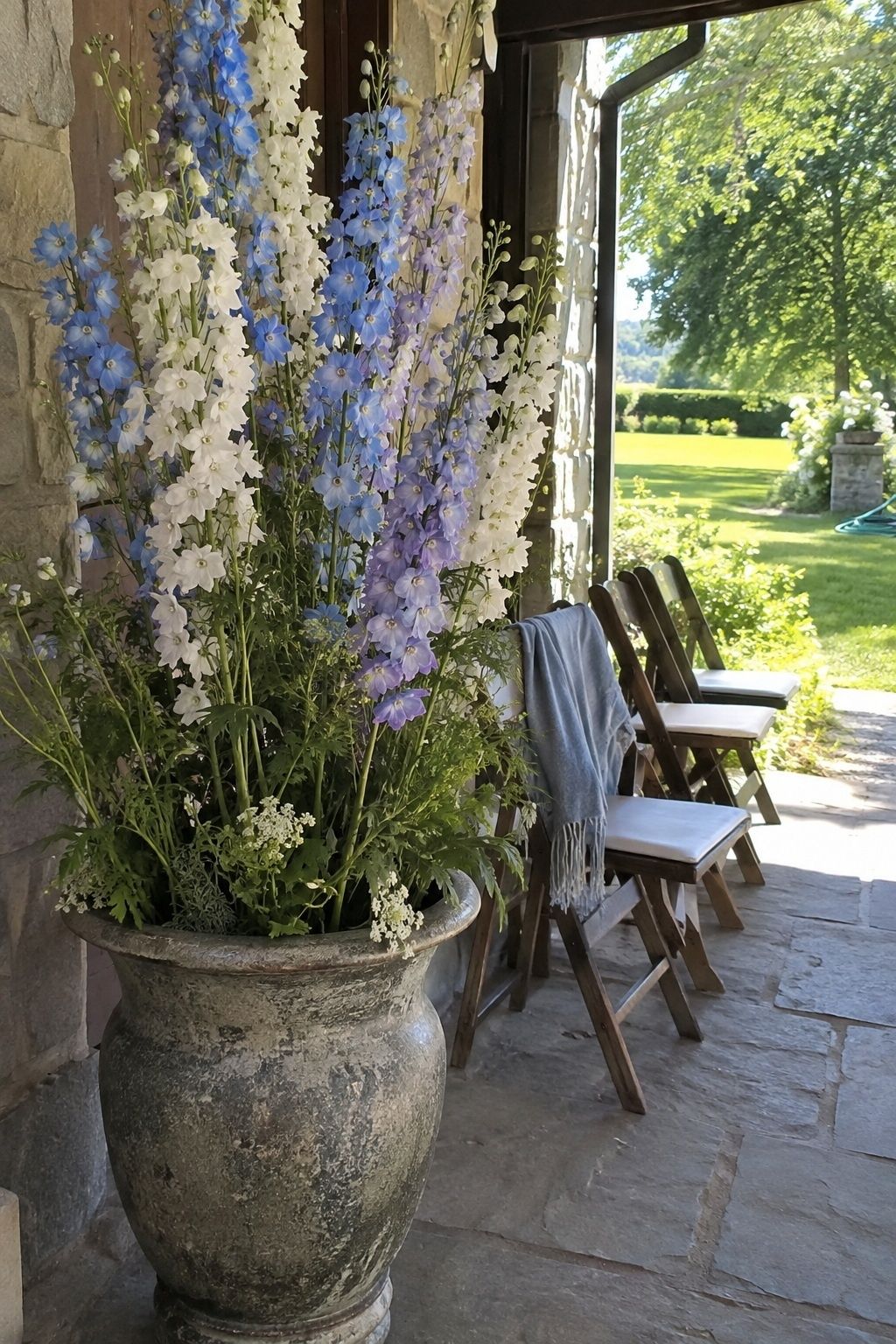 Tall delphinium placed away from harsh sun