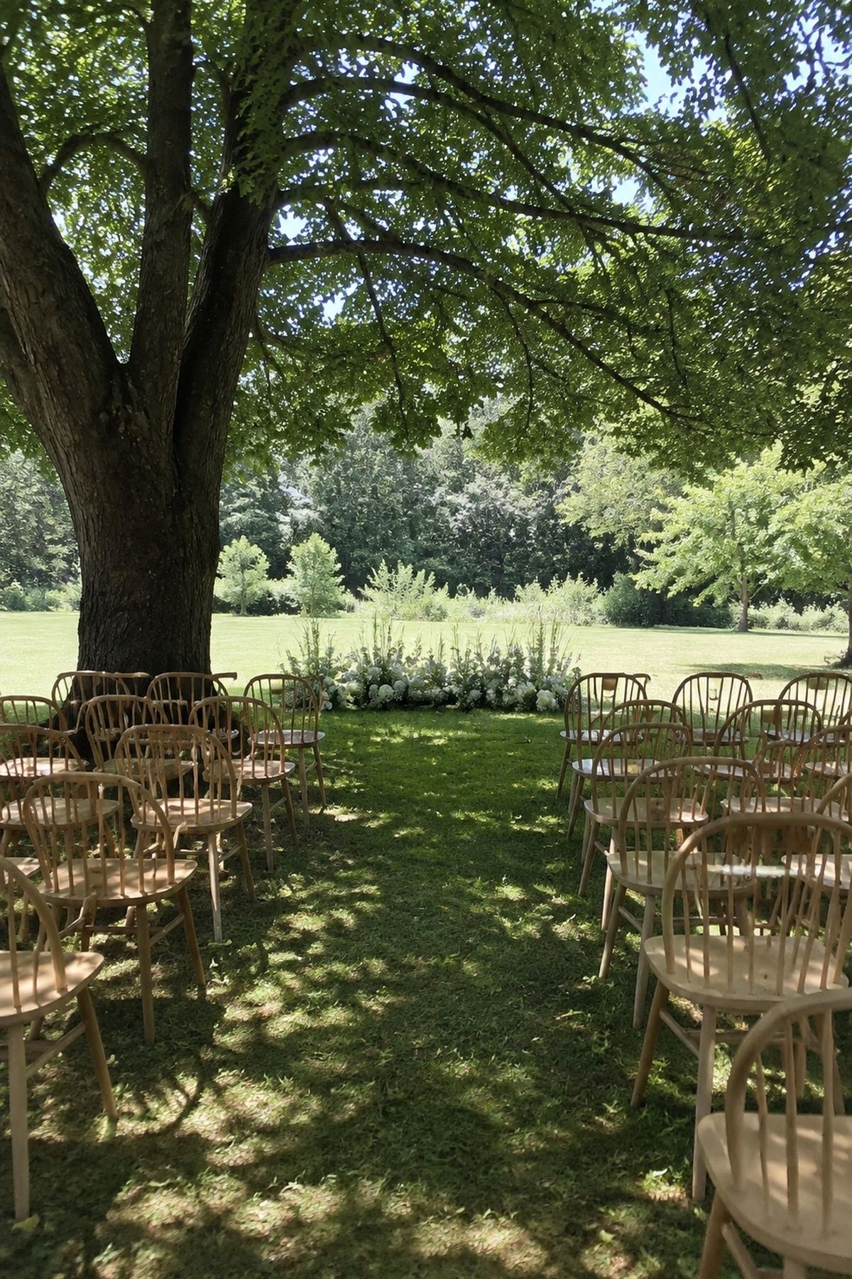 Small outdoor summer wedding ceremony arranged beneath the shade of a mature tree