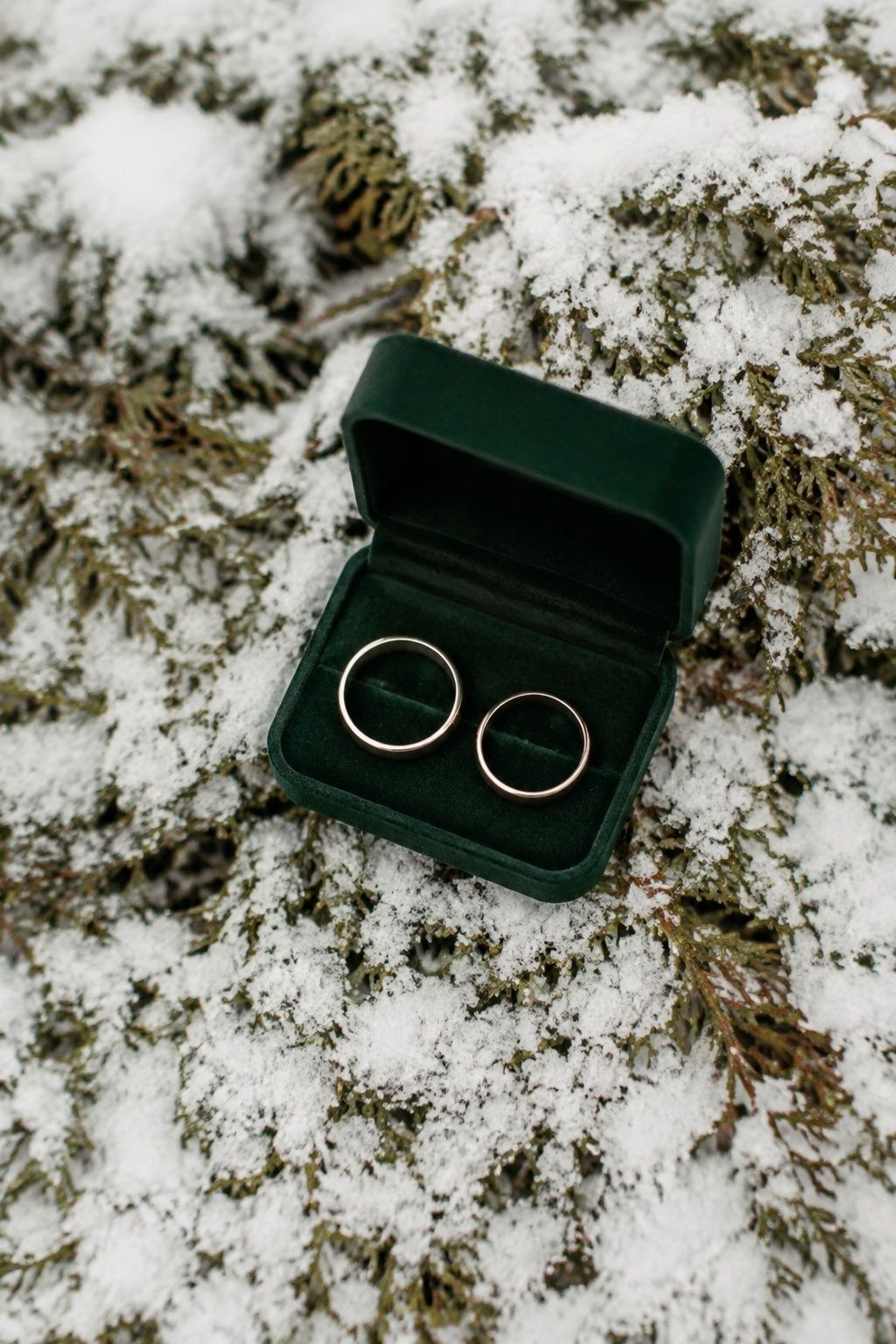Wedding rings in a green velvet box on snowy evergreen sprigs