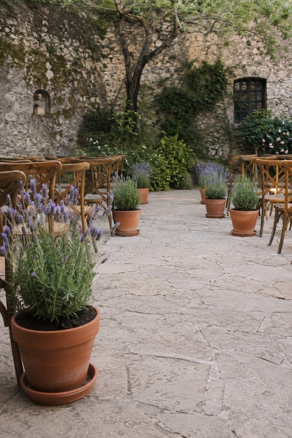 Low three-quarter view of heavy terracotta pots of lavender and rosemary on saucers outside the walking line at alternating row ends
