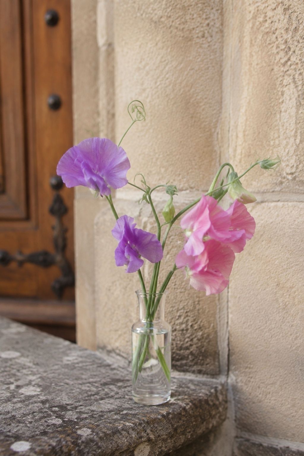 Pink and lavender sweet peas in a small ceremony entrance bud vase.