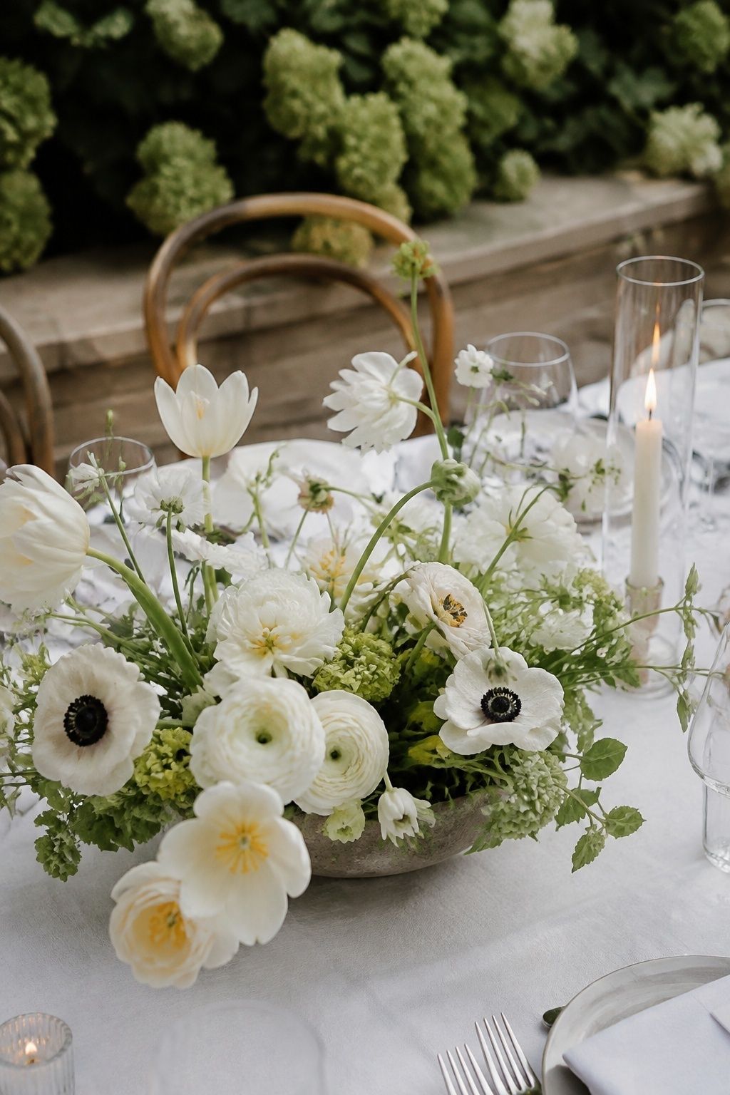 Low white spring flowers with fresh green foliage
