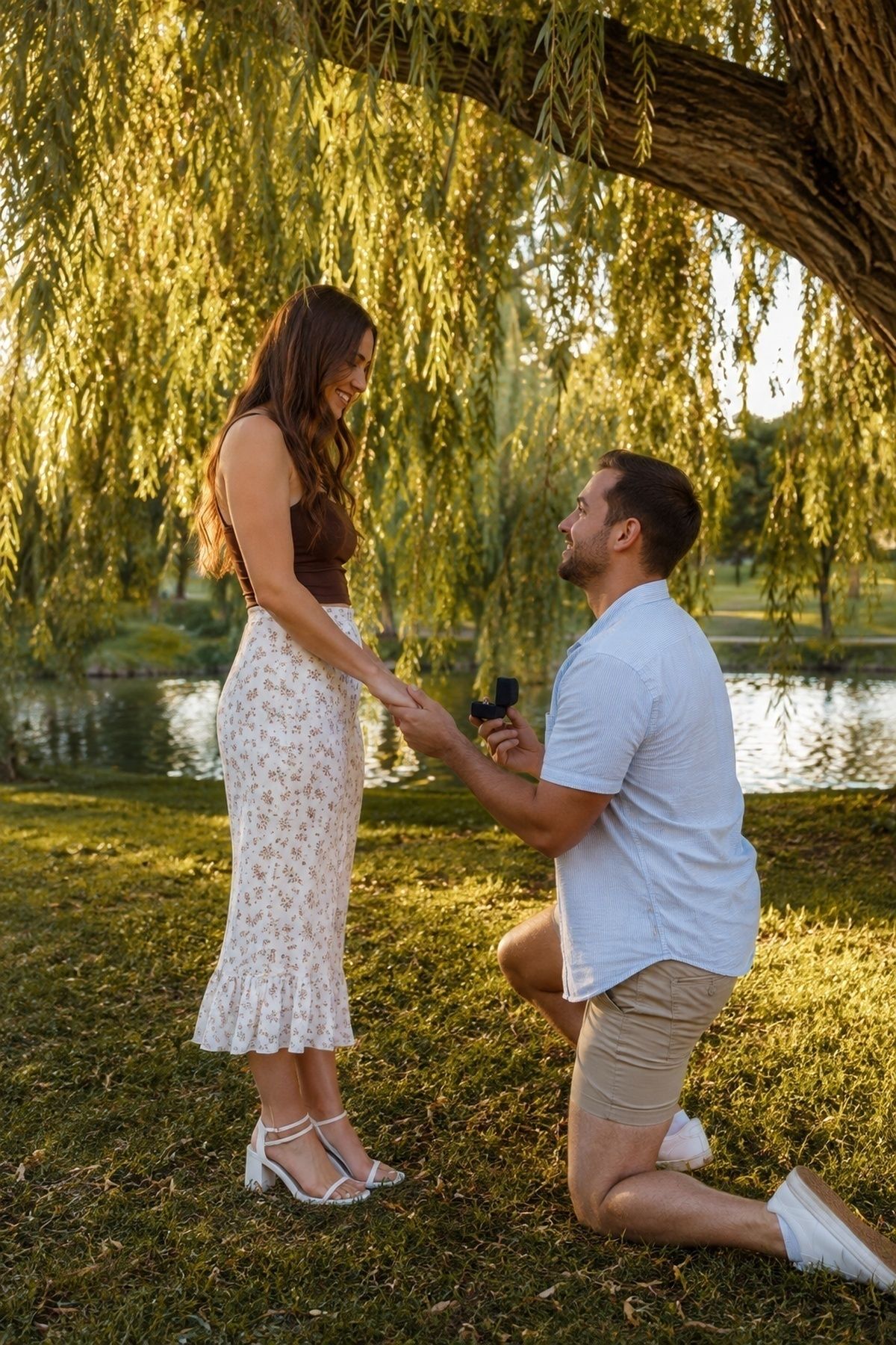 Willow tree proposal in golden-hour light