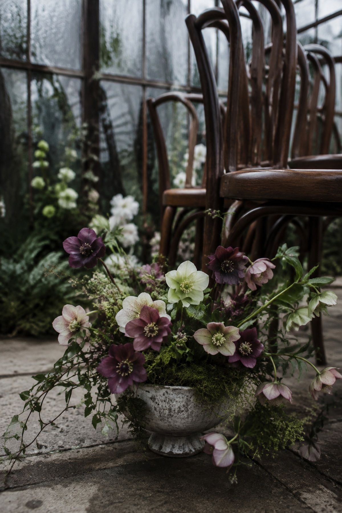Moody hellebores with a garden feel