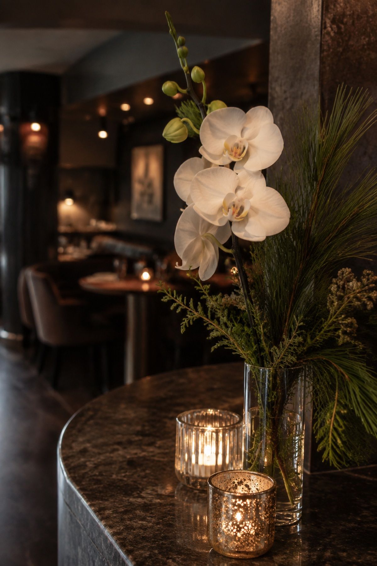 Orchids with modern winter elegance